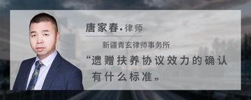 遗赠扶养协议效力的确认有什么标准