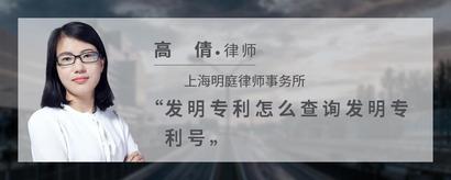 发明专利怎么查询发明专利号