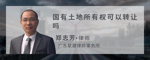 国有土地所有权可以转让吗