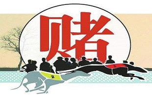 网络赌博