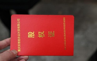 股权证
