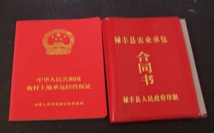 承包合同