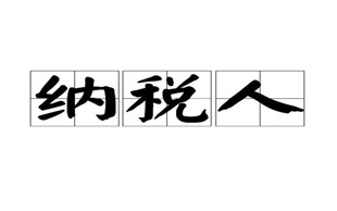 纳税人