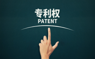 专利保护