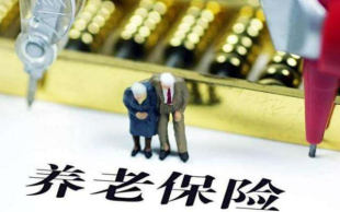 个人养老保险