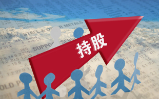 公司股权