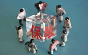 损失保险