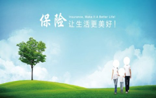 大病保险