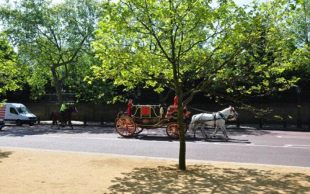 延迟退休年龄