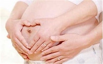 生育保险