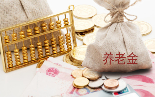 职工养老保险
