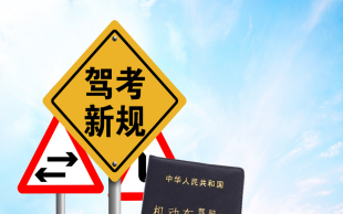 违章停车