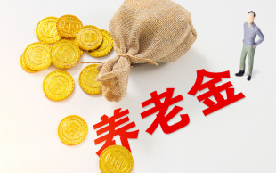 养老保险续交