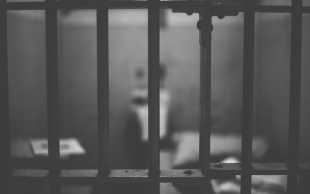 网络赌博判刑