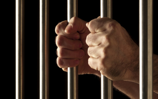 刑事辩护代理书
