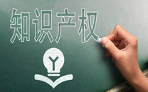 知识产权诉讼证据