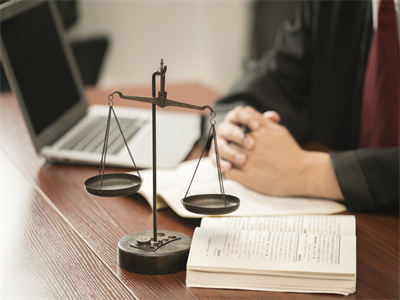 抵押权人可以把车辆卖掉吗