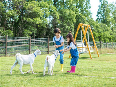 有子女的是否可以收养小孩