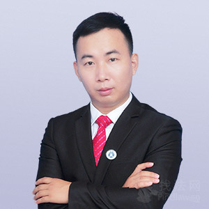 通城县律师-李大龙律师