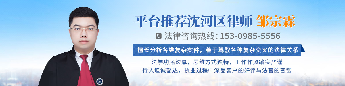 沈河区律师-邹宗霖律师