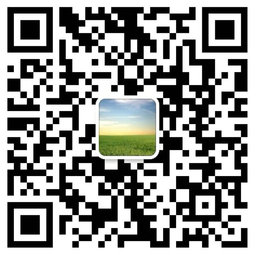 杨丽泉律师微信二维码
