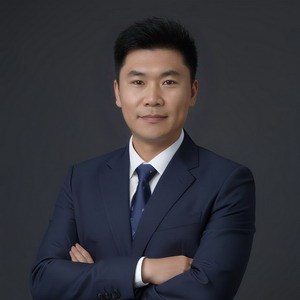 北京涉外纠纷王立东律师