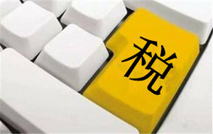企业所得税年报