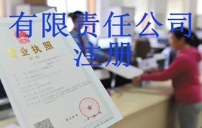 有限责任公司注册流程