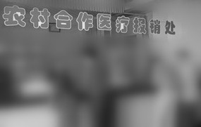 农村合作医疗保险
