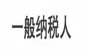 一般纳税人资格
