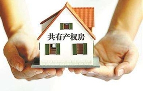 共有产权房政策