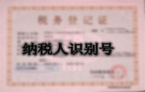 纳税人识别号