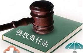 侵权责任法的因果关系