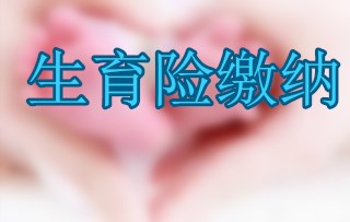 生育险缴纳