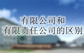 有限公司和有限责任公司的区别