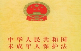 未成年人保护法