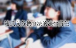 违反义务教育法的法律责任