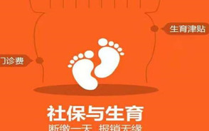 生育保险报销比例是多少