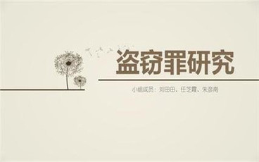单位可以是盗窃罪的主体吗?