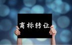 公司商标转让流程2022