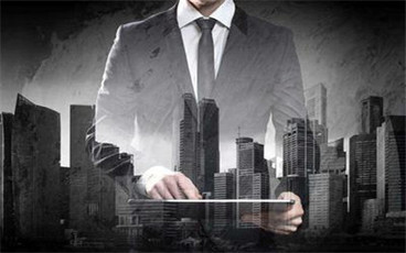 有限责任公司章程的审查要点