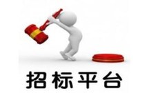 公开招标的时间