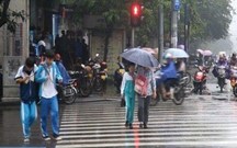 闯红灯多久能查到