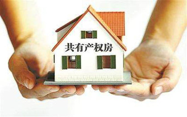什么是共有产权