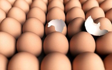 生育津贴个人可以领吗