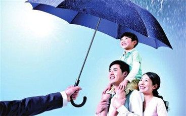 社会保险费一般交多少