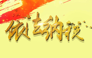 纳税标准