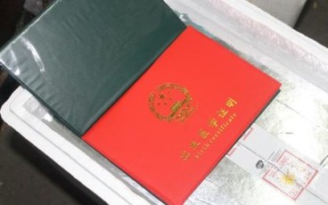 办理出生证明的日期
