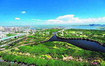 土地管理法45条规定了什么