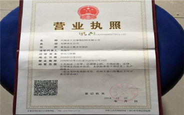 公司营业执照怎么办理